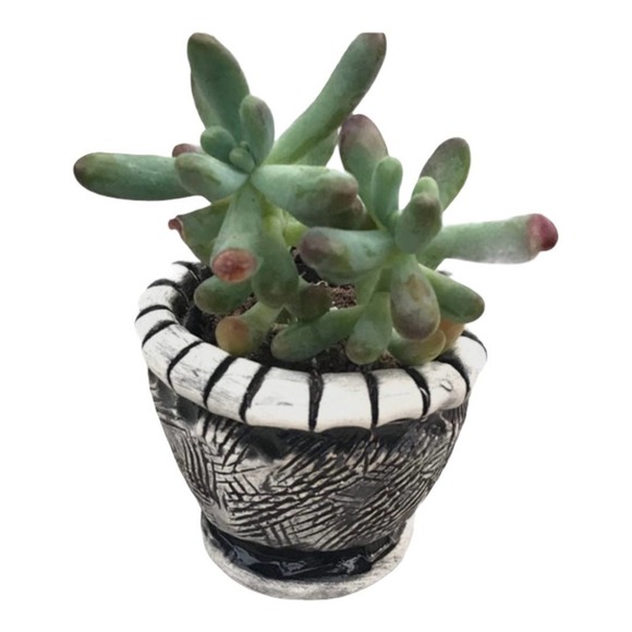 Black and White Tiny Pottery Salt Cellar or Succulent Planter - Picture 2 of 8